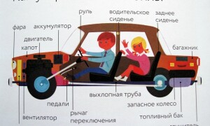 Устройство автомобиля в картинках и с описанием